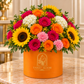 Fiesta Bloom